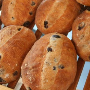 August First Bread kalamata-olive