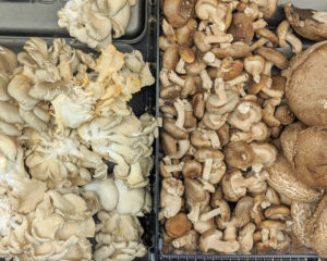 Mushrooms