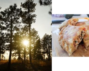 pine forest