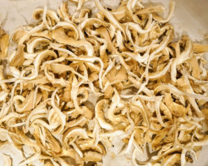 Mushroom Foraging and Mushroom Toast with Gravy