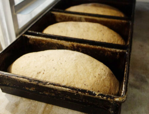 Breaducation: Honey Whole Wheat