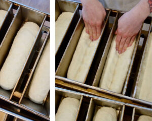 Milk Bread