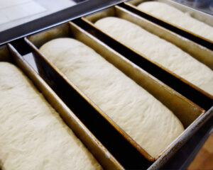 Milk Bread