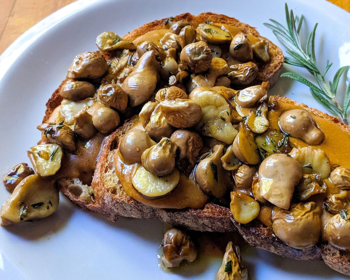 Mushroom Toast Mushroom Toast